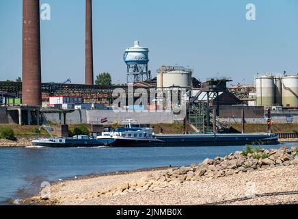 Rhin près de Duisburg, eau extrêmement basse, niveau du Rhin à 168 cm, tendance à la baisse, après la longue sécheresse la rive droite du Rhin, près de Duisburg-N Banque D'Images