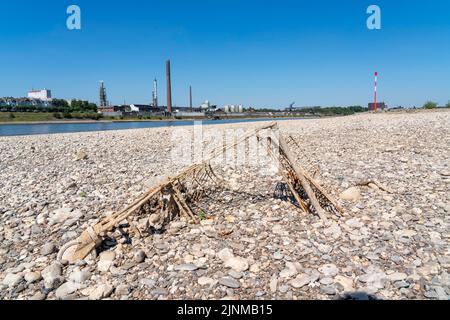 Rhin près de Duisburg, eau extrêmement basse, niveau du Rhin à 168 cm, tendance à la baisse, après la longue sécheresse la rive droite du Rhin, près de Duisburg-N Banque D'Images