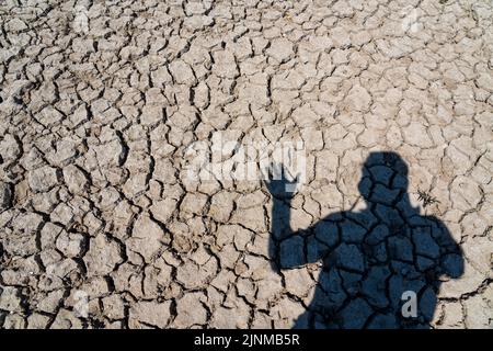 Rhin près de Duisburg, eau extrêmement basse, niveau du Rhin à 168 cm, tendance à la baisse, après la longue sécheresse la rive droite du Rhin tombe, près de Duis Banque D'Images