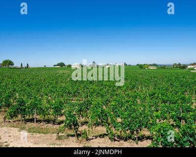 Paysage viticole près de Saint Emilion région Bordeaux France Banque D'Images