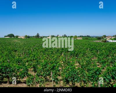 Paysage viticole près de Saint Emilion région Bordeaux France Banque D'Images