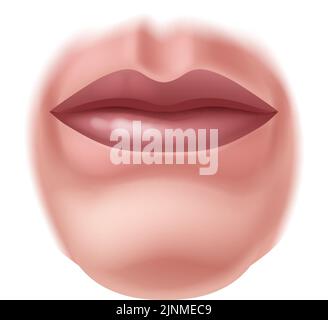 Bouche cinq sens corps humain partie SENSE icône d'organe Illustration de Vecteur