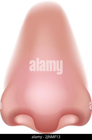 Nez cinq sens corps humain partie SENSE icône d'organe Illustration de Vecteur