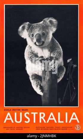 Australian Travel Poster (Australian National Travel Association, 1930s) exploit. Photo en noir et blanc d'un koala. Banque D'Images