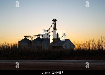 Belle vue de silhouette des silos dans la ferme de soja et la plantation de maïs au coucher du soleil sur la route BR-163. Mato Grosso, Brésil. Concept d'agriculture, écologie. Banque D'Images