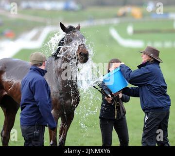 Cheltenham Gold Cup jour course de chevaux de course 15.03.13 6 Banque D'Images