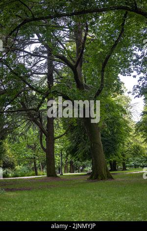 Parc Laurelhurst à Portland, Oregon Banque D'Images