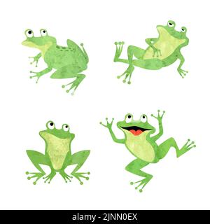 Ensemble de grenouilles mignons. Illustration vectorielle de la grenouille aquarelle verte isolée sur blanc Illustration de Vecteur