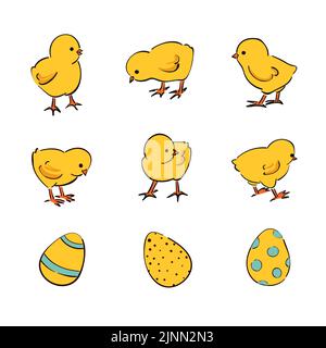 Ensemble de Pâques de jolis poulets de dessin animé. Illustration vectorielle des poussins Illustration de Vecteur