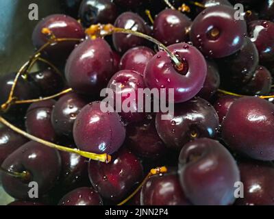 Vue rapprochée des cerises réfrigérées avec gouttes d'eau provenant du réfrigérateur et du congélateur Banque D'Images