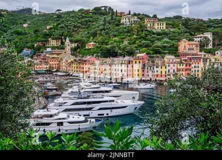 Yachts dans la baie portuaire, Portofino, Golfo del Tigullio, Riviera di Levante, Ligurie, Mer Méditerranée, côte méditerranéenne, Italie Banque D'Images