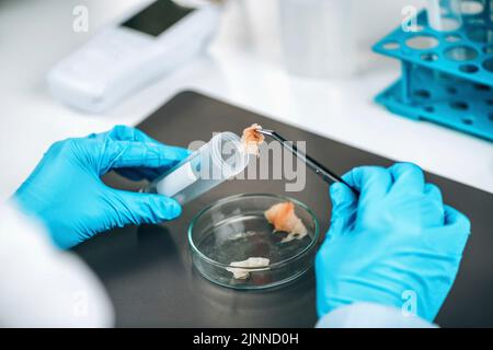 Inspecteur de contrôle de la qualité testant le poisson Banque D'Images