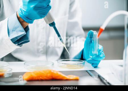 Inspecteur du contrôle de la qualité qui teste l'échantillon de poisson Banque D'Images