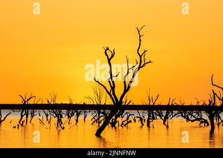 Les eaux de crue de la rivière Darling remplissent les lacs de Meninne à l'extrême ouest de la Nouvelle-Galles du Sud, en Australie. Banque D'Images