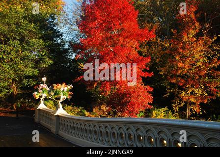 Le feuillage d'automne brillant et les feuilles d'automne transforment les arbres du Central Park de New York du vert au rouge vif et à l'orange Banque D'Images