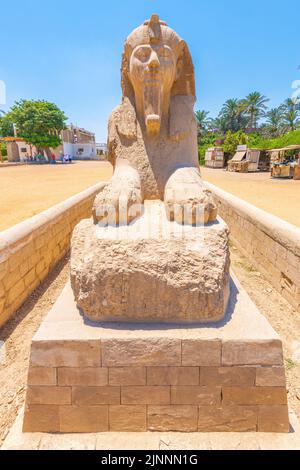 Alabâtre Sphinx, Memphis, Égypte. Banque D'Images
