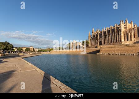 Palma de Majorque, Espagne. Façade et fenêtre rose appelée Ojo del Gotico (oeil gothique) de la cathédrale Santa Maria, et Parc de la Mar Banque D'Images