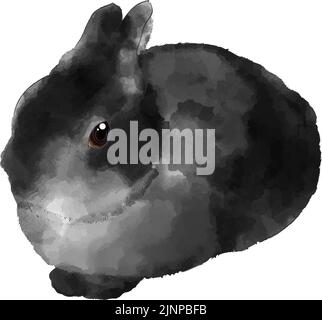 Illustration aquarelle d'un lapin noir (Netherland Dwarf) Illustration de Vecteur