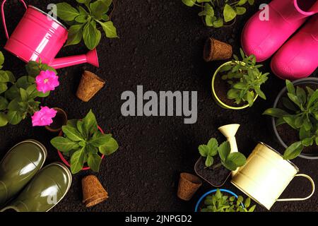 Composition jardinage outils plantes fleurs en pots sur le sol. Banque D'Images