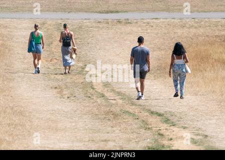 Marcheurs sur Primrose Hill, au nord de Londres, comme une sécheresse a été déclarée pour certaines parties de l'Angleterre après l'été le plus sec depuis 50 ans. Date de la photo: Samedi 13 août 2022. Banque D'Images