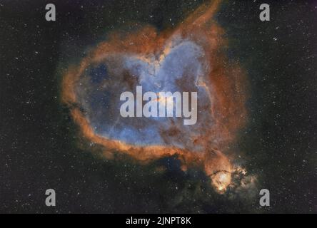 Nébuleuse du coeur (IC 1805) et nébuleuse de la tête de poisson (IC 1795), nébuleuse d'émission dans la constellation de Cassiopée Casseopeiae. Photographié du Royaume-Uni Banque D'Images