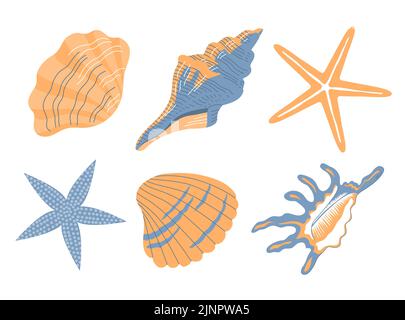 Ensemble coquillages. Escargot de mer coquillages et étoiles de mer. Marin sous-marin en bord de mer torsadé. Forme en spirale. Mollusque sous-marin. Animaux et faune. Vecteur plat illu Illustration de Vecteur