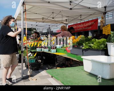 Scènes du marché agricole de Lansdowne place. Les acheteurs et les vendeurs interagissent sur un stand de produits frais de la ferme. Ottawa, ON, Canada. Banque D'Images