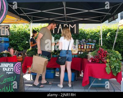 Scènes du marché agricole de Lansdowne place. Tente de produits agricoles biologiques. Ottawa, ON, Canada. Banque D'Images