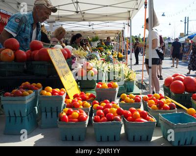 Scènes du marché agricole de Lansdowne place. Filets de tomates et de haricots empilés haut. Ottawa, ON, Canada. Banque D'Images