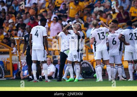 Les joueurs de Fulham font une pause aquatique pendant le match de la Premier League au stade Molineux, Wolverhampton. Date de la photo: Samedi 13 août 2022. Banque D'Images