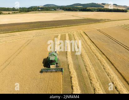 Ladybank, Fife, Écosse, Royaume-Uni. 13th août 2022. SEPA, l'agence écossaise de protection de l'environnement, va introduire la première interdiction de l'eau en Écosse à minuit ce soir. Le SEPA a déclaré qu'il était obligé de prendre des mesures drastiques comme en raison des conditions les plus sèches de l'est de l'Écosse depuis 80 ans. Le SEPA, l'organisme de surveillance de l'environnement, a déclaré qu'il avait été forcé de prendre des mesures d'urgence après certaines des conditions les plus sèches depuis 80 ans dans l'est de l'Écosse. Les agriculteurs seront interdits d'extraire de l'eau de la rivière Eden à Fife, bien que des exceptions puissent être faites pour les producteurs de fruits tendres. Pic ; récolte de la moissonneuse-batteuse Banque D'Images