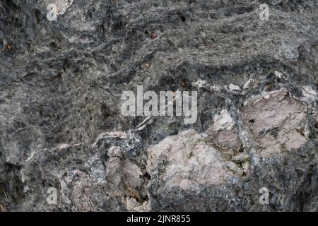 Une photographie en gros plan d'une roche de lave grise utilisée dans des projets d'aménagement paysager décoratif, un abrasif et un soin personnel. Banque D'Images