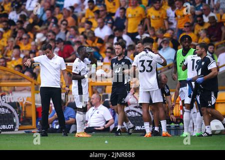 Fulham faites une pause-boisson pendant le match de la Premier League au stade Molineux, Wolverhampton. Date de la photo: Samedi 13 août 2022. Banque D'Images