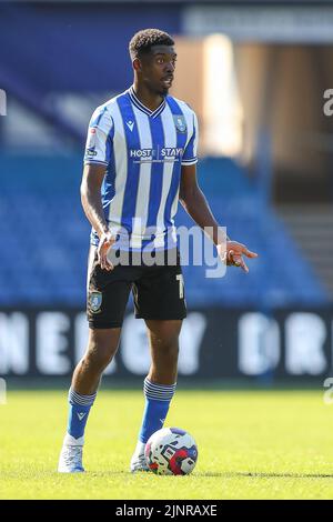 Sheffield, Royaume-Uni. 13th août 2022. Tireeq Bakinson #19 de Sheffield mercredi avec le ballon à Sheffield, Royaume-Uni le 8/13/2022. (Photo de Gareth Evans/News Images/Sipa USA) Credit: SIPA USA/Alay Live News Banque D'Images