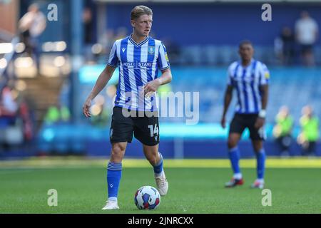 Sheffield, Royaume-Uni. 13th août 2022. George Byers #14 de Sheffield mercredi avec le ballon à Sheffield, Royaume-Uni le 8/13/2022. (Photo de Gareth Evans/News Images/Sipa USA) Credit: SIPA USA/Alay Live News Banque D'Images