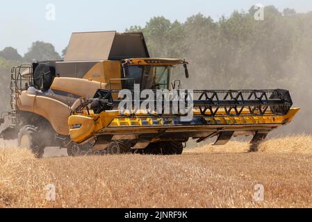 The Cotswolds, Gloucestershire, Angleterre, Royaume-Uni. 2022. Moissonneuse-batteuse récoltant du seigle dans le Gloucetsershire, en Angleterre, pendant un mois chaud d'août 2022. Banque D'Images