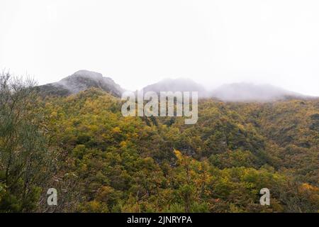 Masse forestière indigène dans les montagnes de Serra do Courel, Galice, Espagne. Paysage d'automne Banque D'Images