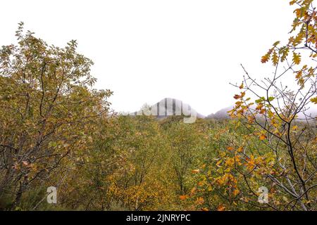 Masse forestière indigène dans les montagnes de Serra do Courel, Galice, Espagne. Paysage d'automne Banque D'Images