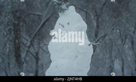 13 août 2022, oblast d'Odessa, Ukraine, Europe de l'est : bonhomme de neige drôle heureux, sur fond de fortes chutes de neige. (Credit image: © Andrey Nekrasov/ZUMA Press Wire) Banque D'Images