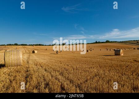 Un paysage rural d'été de South Downs, avec des balles de foin dans un champ nouvellement récolté Banque D'Images