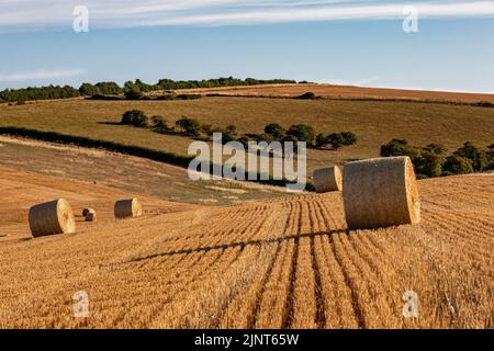 Un paysage rural d'été de South Downs, avec des balles de foin dans un champ nouvellement récolté Banque D'Images