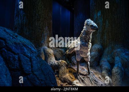 Londres, Royaume-Uni - 10 juin 2022 : Buckbeak the Hippogriff in the Forbidden Forest, Warner Bros Studio, Londres Banque D'Images