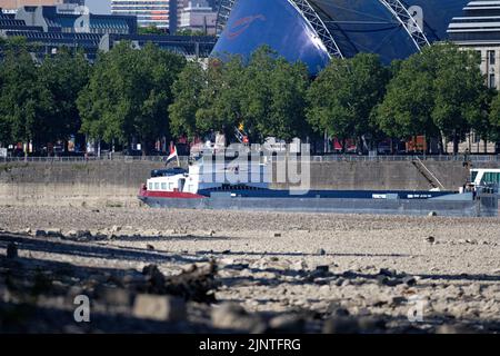 Cologne, Allemagne 09 août 2022: Niveau d'eau bas sur le rhin à cologne Banque D'Images