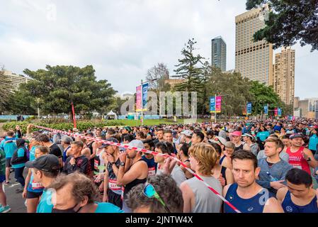 Sydney, Australie.14 août 2022 : plus de 60 000 personnes participent à la course 50th City2Surf à Sydney, la première depuis 2019 après les annulations en 2020 et 2021 en raison des restrictions de Covid-19. La course de quatorze kilomètres, la plus grande du genre au monde, mène les coureurs de Hyde Park hors de la ville, en haut et au-dessus de la colline de coeur de pause et sur la plage de Bondi. Photo: Groupe rouge, y compris les coureurs cédés et ceux qui s'attendent à terminer en moins de 70 minutes crédit: Stephen Dwyer / Alay Live News Banque D'Images