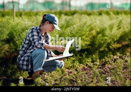 Une jeune agricultrice se prépare à la récolte tout en travaillant sur son champ agricole en s'assurant que le sol biologique est frais et durable à l'extérieur. Un travailleur heureux Banque D'Images