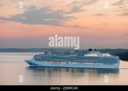 Port de Cork, Cork, Irlande. 14th août 2022. Le bateau de croisière Island Princess vole le port à l'aube un matin d'été frais pendant qu'elle se rend pour une visite à Cobh, Co. Cork, Irlande. - Photo David Creedon Banque D'Images