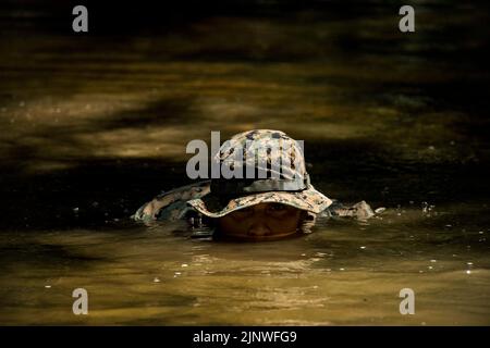 Quantico, Virginie, États-Unis. 3rd août 2022. CPL lance Liam C. Doyle, mitrailleuse de la Compagnie de la Garde, caserne de Marine, Washington, cherche son point de contrôle dans une rivière à la base des Marines Quantico, Virginie, 3 août 2022. Les Marines ont participé à un insert aérien avec MV-22 Ospreys et ont mis en œuvre leurs tactiques d'entraînement d'infanterie en effectuant la navigation terrestre et en effectuant des scénarios d'évacuation des blessés. Crédit : U.S. Marines/ZUMA Press Wire Service/ZUMAPRESS.com/Alamy Live News Banque D'Images