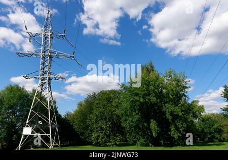 Réseau électrique de poteaux sur ciel bleu et entouré de buissons et d'arbres verts Banque D'Images