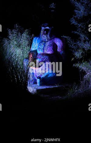 Osabrueck, Allemagne - 09 19 2020: Sculpture illuminée aux lumières du zoo Osnabrueck montrant un Gorilla coloré Banque D'Images