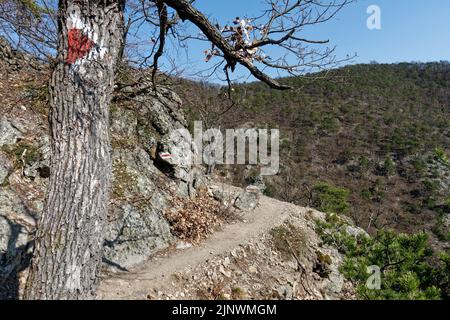 Sur un vieux arbre à tête en bois, un marqueur montre les randonneurs sur la bonne voie jusqu'au sommet de la montagne. Sur le sentier de randonnée étroit borde une pente raide dans un canyon. Banque D'Images